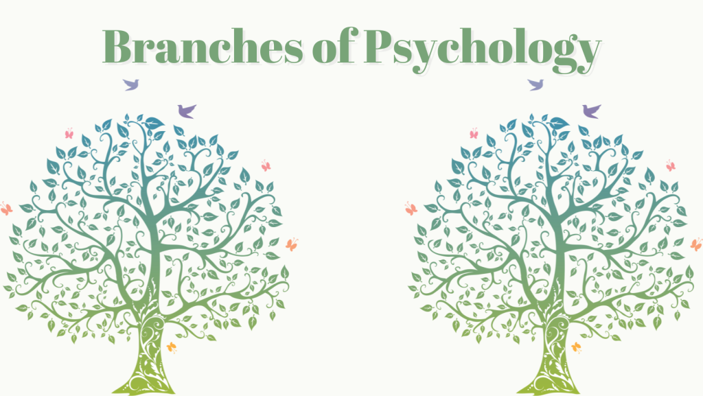 Branches Of Psychology 1 1024x577 